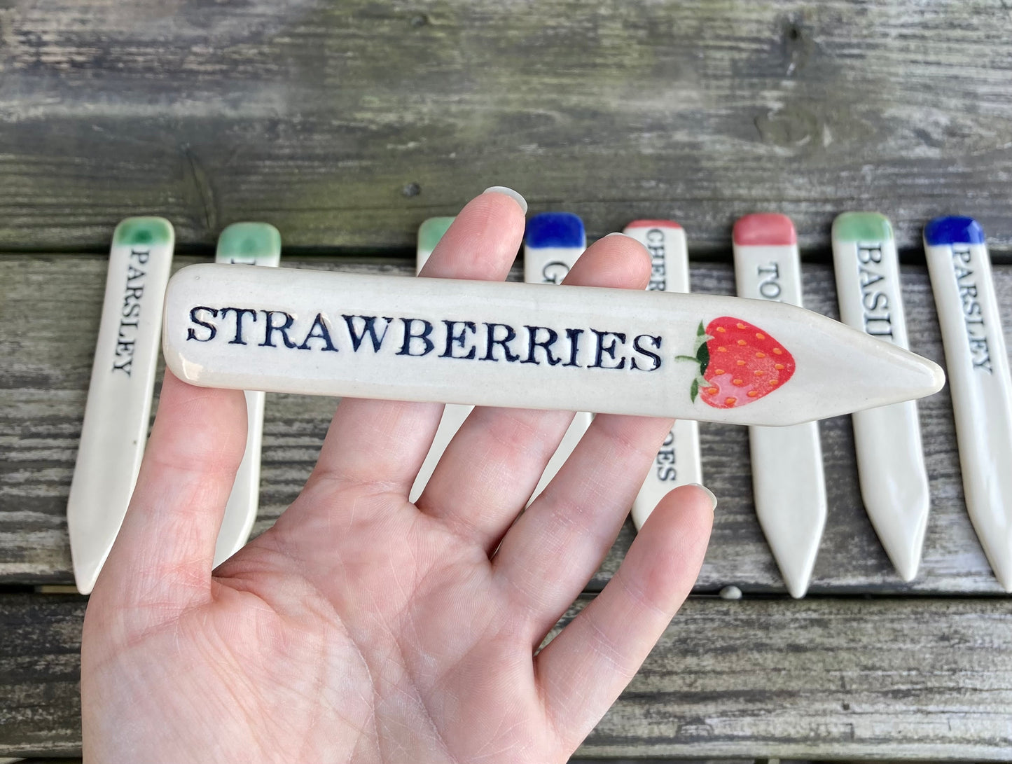 Strawberry Garden Marker